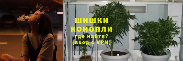 бошки Переславль-Залесский