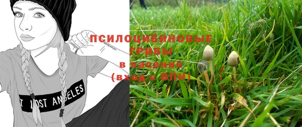 спиды Иннополис