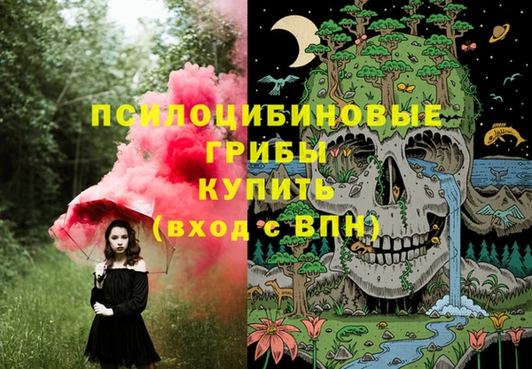 бошки Переславль-Залесский