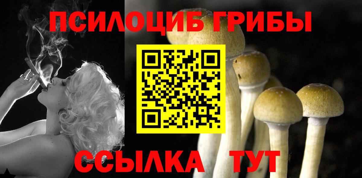 как найти наркотики  Галлюциногенные грибы MAGIC MUSHROOMS  Псков  Вход с VPN  Псилоцибиновые грибы GOLDEN TEACHER 